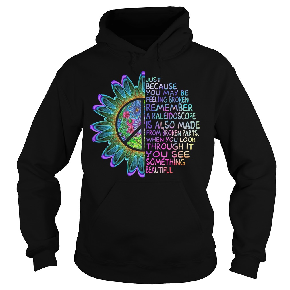 Just because you may be feeling broken remember Hoodie