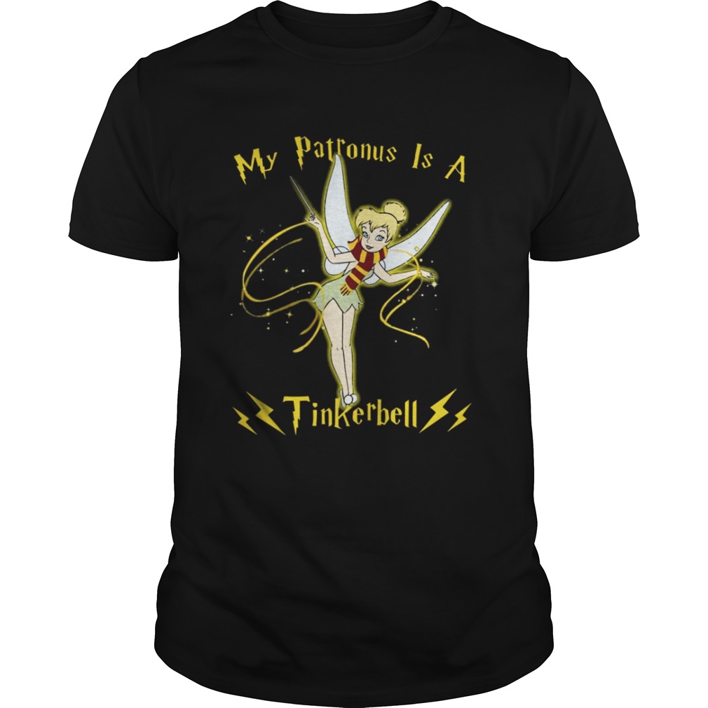 Carolina Panthers My Patronus Is A Panthers T-Shirt