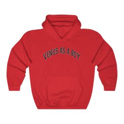 Venus As A Boy Hoodie thd